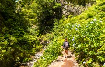 Madeira Discovery – Premium Adventure