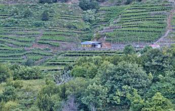 Madeira Discovery – Premium Adventure