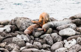 Highlights of Ecuador & the Galapagos