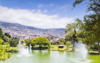 Madeira Discovery – Premium Adventure