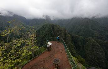 Madeira Discovery – Premium Adventure