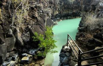 Highlights of Ecuador & the Galapagos