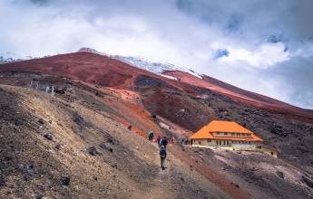 Highlights of Ecuador & the Galapagos