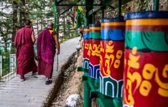 Foothills of the Himalaya