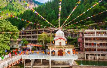 Foothills of the Himalaya