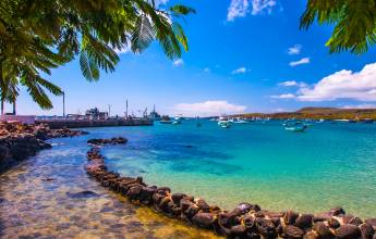 Highlights of Ecuador & the Galapagos