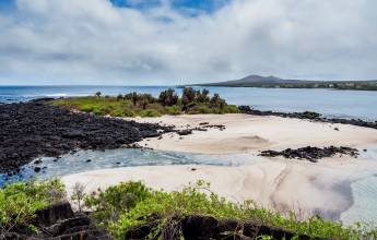 Highlights of Ecuador & the Galapagos