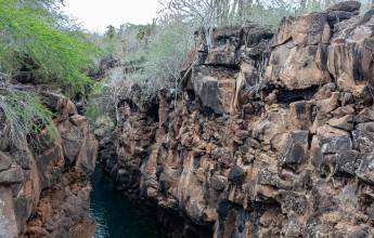 Highlights of Ecuador & the Galapagos