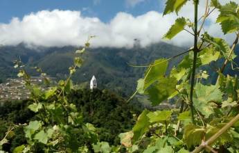 Madeira Discovery – Premium Adventure