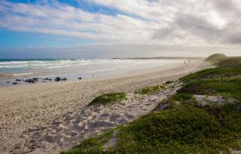 Highlights of Ecuador & the Galapagos