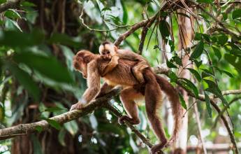 Highlights of Ecuador & the Galapagos