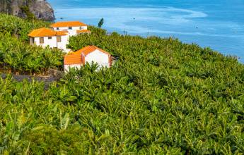 Madeira Discovery – Premium Adventure