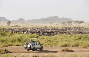 Tanzania Safari Adventure