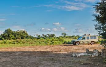 Kenya Safari Adventure