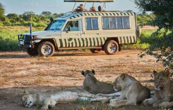 Kenya Safari Adventure