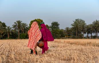 Foothills of the Himalaya