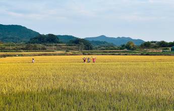 Discover South Korea