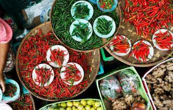 Discover Laos in Comfort