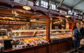 Nordic Cities by Rail