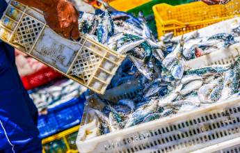 Morocco: Mountains, Desert & Coast