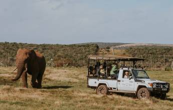 Cape Town & the Garden Route