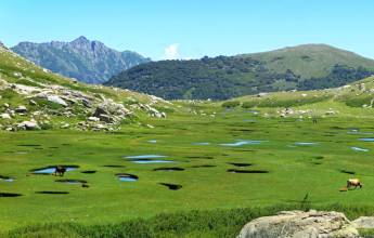 Trek the GR20 of Corsica