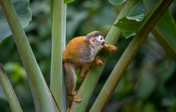 Discover Costa Rica – Coastal Edition