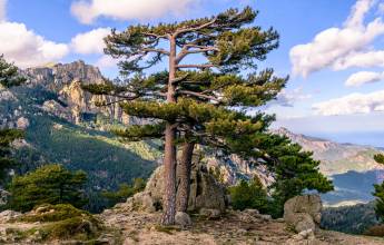 Trek the GR20 of Corsica