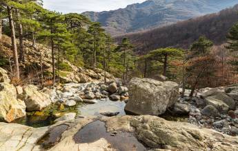 Trek the GR20 of Corsica