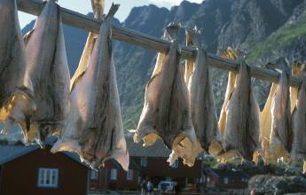 Hike the Lofoten and Vesterålen Islands