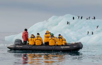 Antarctic Express: Cruise South, Fly North