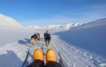 Svalbard Arctic Adventure – Sunny Winter