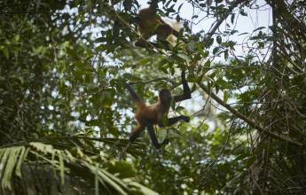 Discover Costa Rica – Coastal Edition