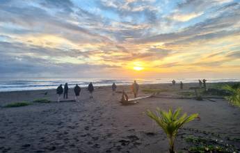 Discover Costa Rica – Coastal Edition