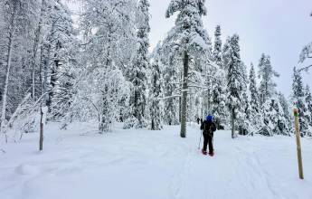 Finland Family Winter Adventure