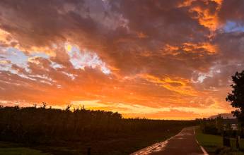 Cycling South Africa's Route 62 sunset on route