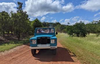 Mexico’s Yucatán Adventure
