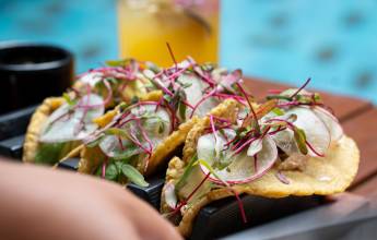 Mexico’s Yucatán Adventure