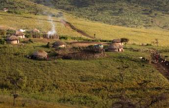 Tanzania Safari Adventure