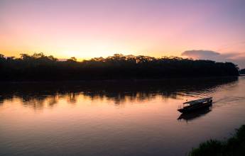 Premium Amazon Rainforest Add-on Tour (from Cuzco)