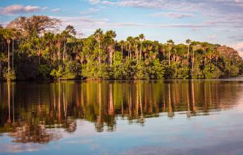 Premium Amazon Rainforest Add-on Tour (from Cuzco)