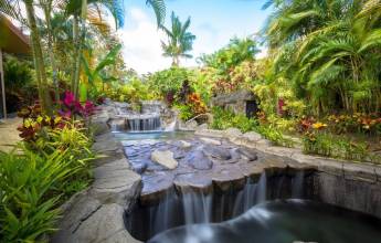 Wild Costa Rica – Premium Adventure