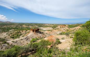 Tanzania Safari Adventure