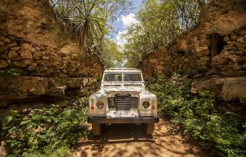 Mexico’s Yucatán Adventure