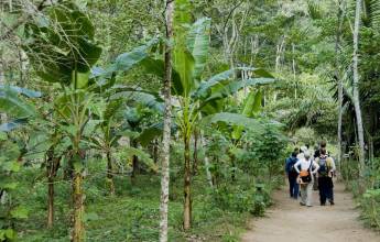 Premium Amazon Rainforest Add-on Tour (from Cuzco)