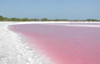 Mexico’s Yucatán Adventure