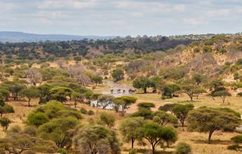 Tanzania Safari Adventure