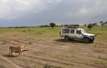 Tanzania Safari Adventure