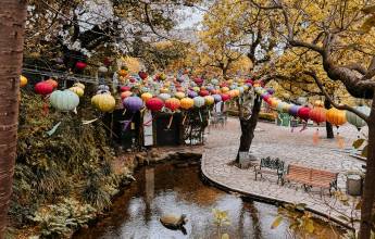 Japan Adventure: Kyushu & Shikoku