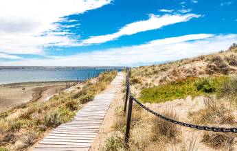 Valdés Peninsula Add-on Tour